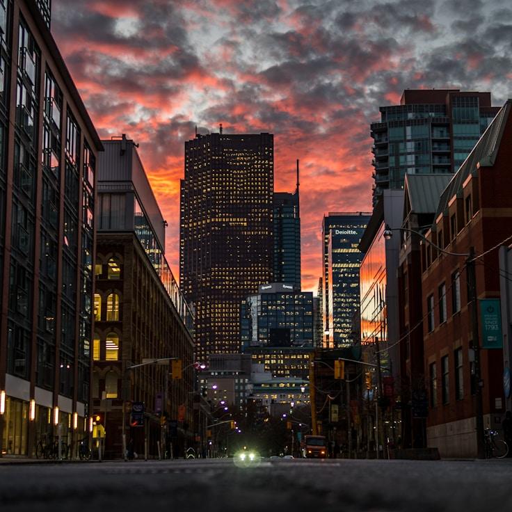 Family routine and school logistics in Springfield